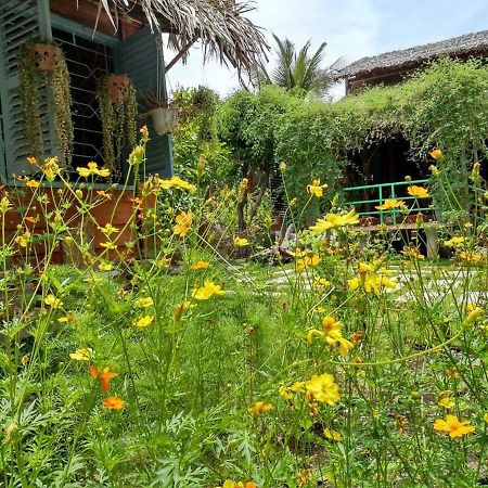 Bach Cuc Homestay Long Hai Bagian luar foto