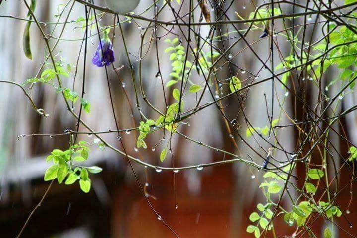 Bach Cuc Homestay Long Hai Bagian luar foto