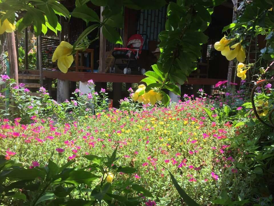 Bach Cuc Homestay Long Hai Bagian luar foto